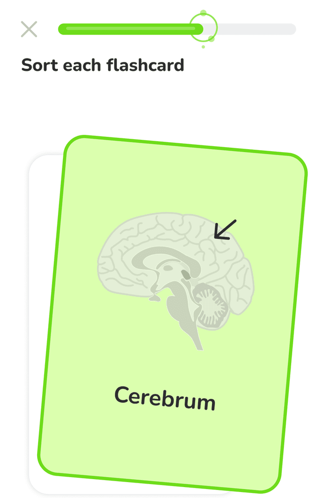 Flashycards app screenshot